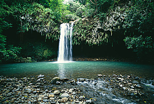 瀑布,树林,双子瀑布,毛伊岛,夏威夷,美国