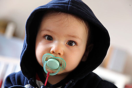 肖像,小,男孩,10个月,奶嘴,帽衫