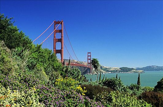 加利福尼亚,旧金山,金门大桥,旧金山湾