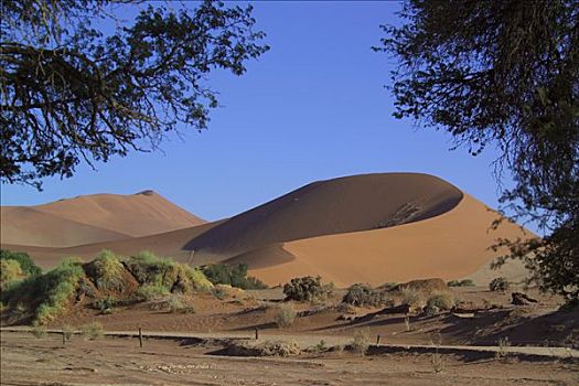 大,母亲,沙丘,索苏维来地区,纳米比亚,非洲