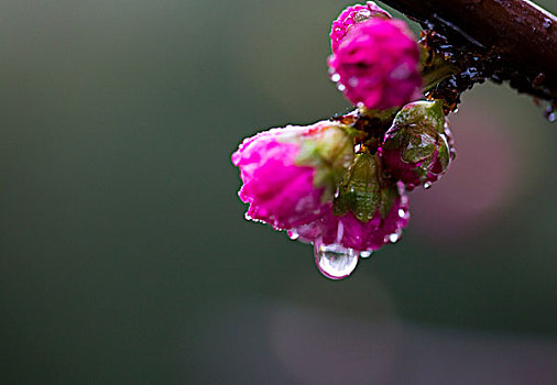 水点