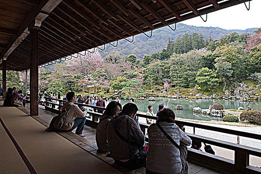 游客,花园,京都,日本