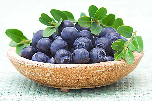 新鲜,蓝莓,盘子