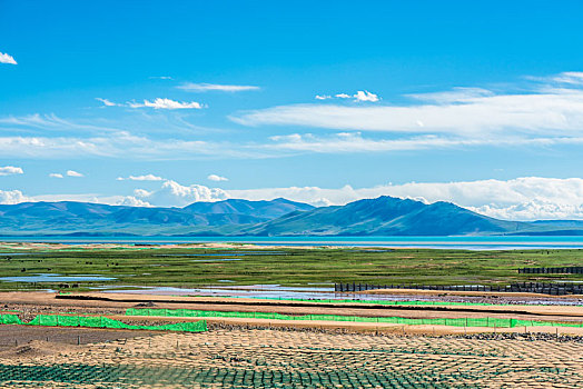 高原湖泊边上的防沙围栏,中国西藏