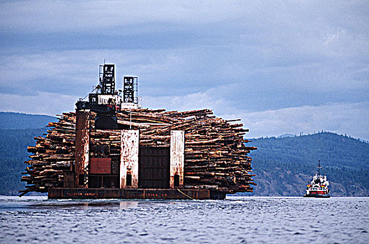 原木,驳船,装载,不列颠哥伦比亚省,加拿大