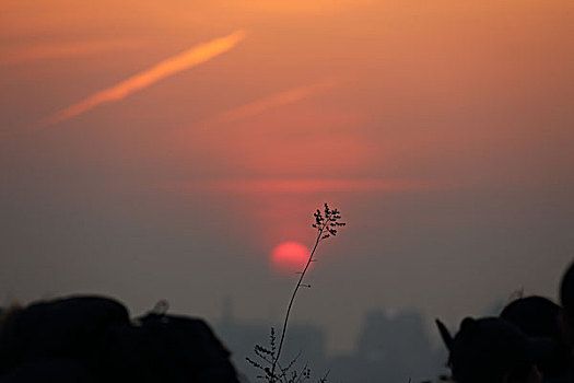 2017年1月31日北京西城区景山公园小草落日