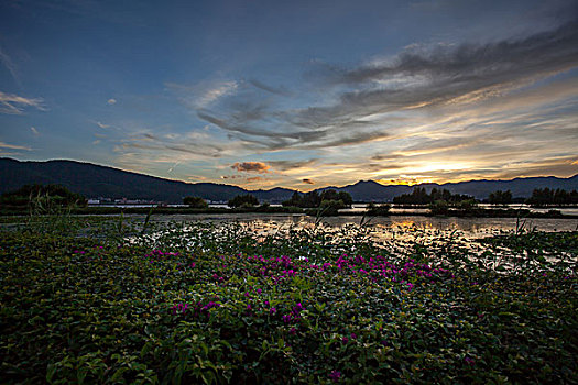 昆明草海湿地景观