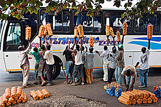 给,水果,乘客,巴士,旅行,内罗毕