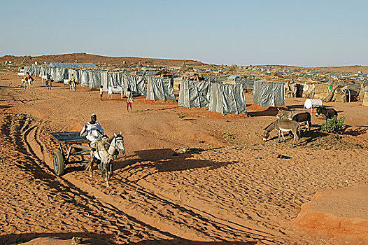 苏丹人,马车,利雅得,露营,人,近郊,西部,达尔富尔,苏丹,十一月,2004年