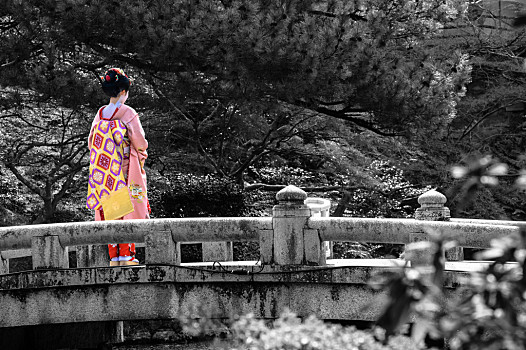 黑白,桥,京都,选择,彩色,年轻,艺伎,女人,场景,传统,日本人