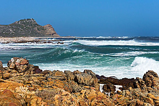 南非,好望角,岩石,岸边
