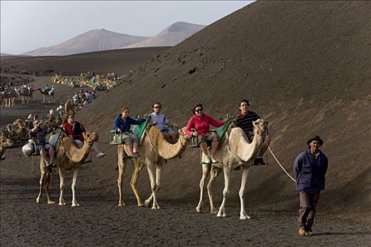 骆驼,旅游,火山,蒂玛法雅国家公园,兰索罗特岛,加纳利群岛,西班牙,欧洲