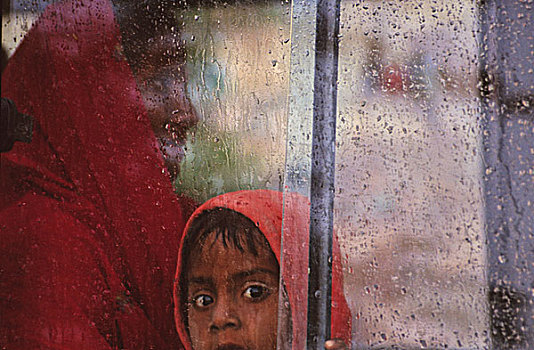 雨,窗户,巴士,拉贾斯坦邦,印度