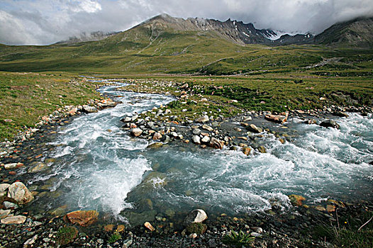 河,流动,草原,吉尔吉斯斯坦