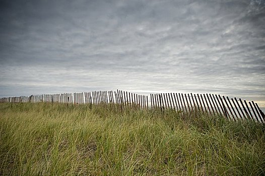 高草,栅栏,海滩,罗德岛,美国