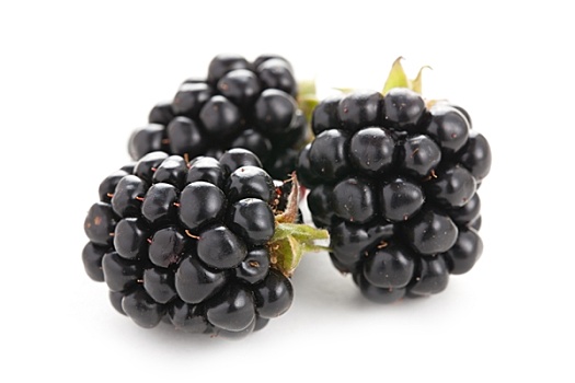 黑莓,白色背景,背景