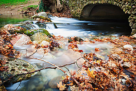 河,流动,石桥,漂浮,秋天,色彩,叶子,希腊