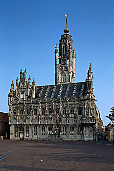 建筑,老市政厅,大学,荷兰