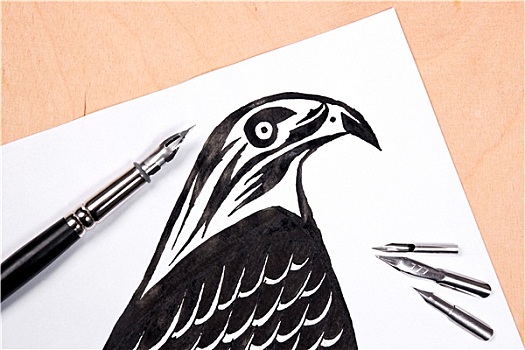 钢笔,墨水,绘画,老鹰