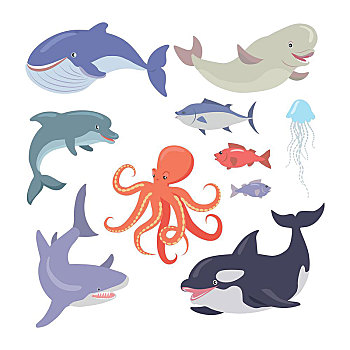 鲸,鲨鱼,章鱼,海豹,水母,三文鱼,海洋生物,生物,矢量,鳕鱼,海豚,海洋,卡通,居民,风格,设计,动物,白色背景,背景,插画
