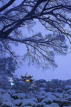 杭州城雪后夜景