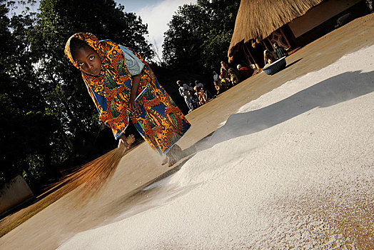 女孩,打扫,面粉,一起,地上,乡村,区域,喀麦隆,非洲
