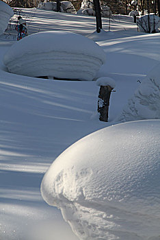 哈尔滨,雪乡,雪景,北方