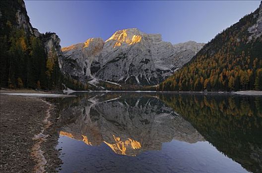反射,湖,阿尔卑斯山,自然公园,南蒂罗尔,意大利