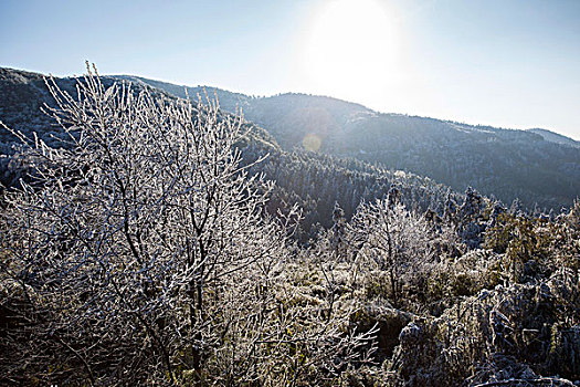 阳明山风光