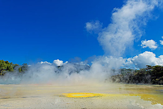 硫磺,春天,热,奇景,怀奥塔普,区域,罗托鲁瓦,新西兰,大洋洲