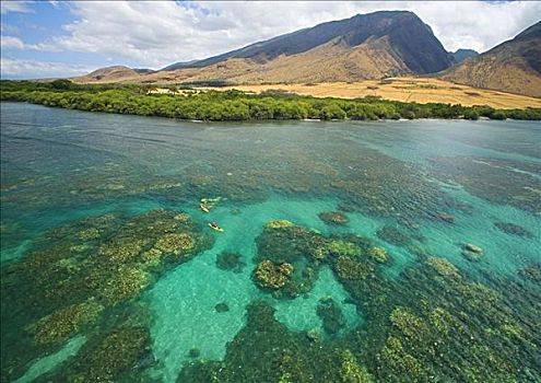夏威夷,毛伊岛,俯视,漂流者,海洋,漂亮,珊瑚,欧咯瓦鲁,山,背景