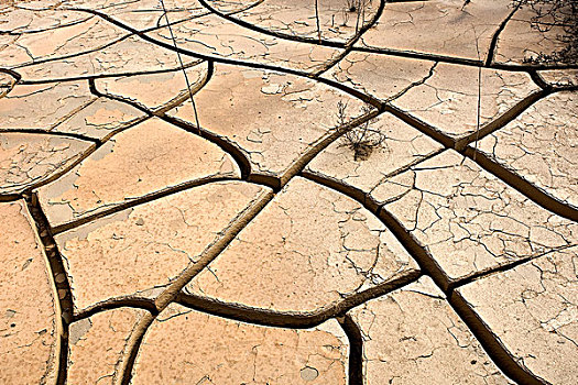 干旱,沙漠,靠近,湾,纳米比亚
