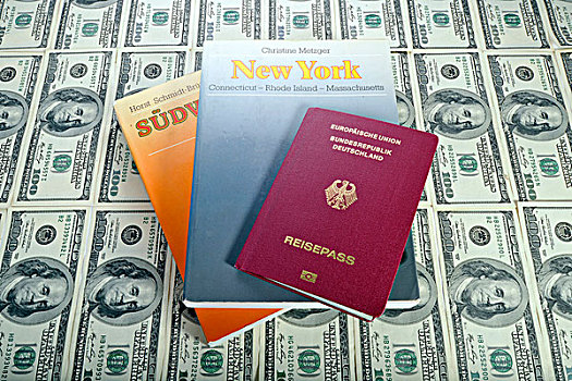 西南方,美国,旅行,引导,纽约,德国护照,几个