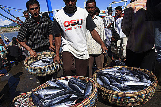 工人,渔港,开端,恢复,三个,岁月,一个,击打,海啸,东南亚,十二月,2004年