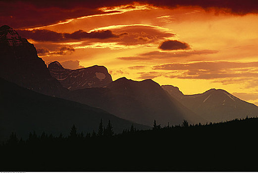 日落,上方,山峦,艾伯塔省,加拿大