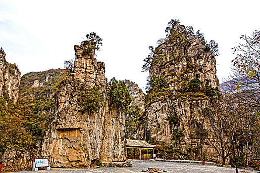 少林寺,猿拳,发源地,河南省焦作市修武县净影寺