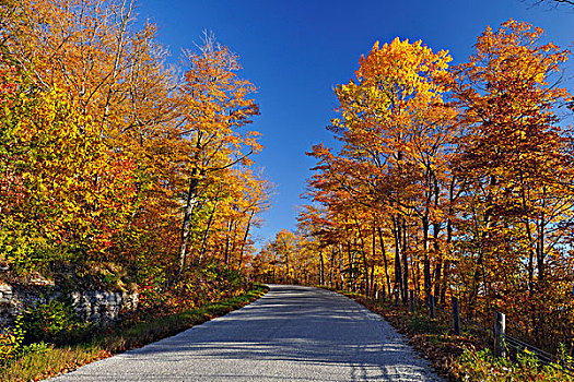 纪念建筑,道路,秋天,树,岛屿,安大略省,加拿大