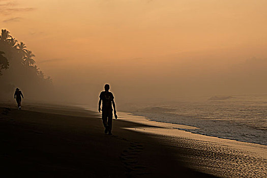 男人,走,海滩,黎明,哥斯达黎加,北美