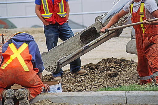 工人,倒出,水泥,修路,场所,卡尔加里,艾伯塔省,加拿大
