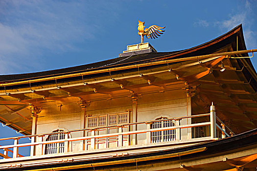 庙宇,金阁寺,京都,日本