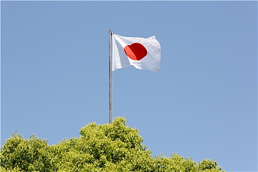 日本,旗帜,风,清晰,蓝天