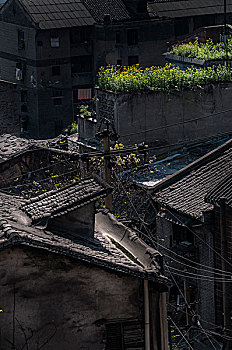 四川,重庆,老房子,旧建筑,住宅区,木房子,小巷,街道,屋顶,瓦片