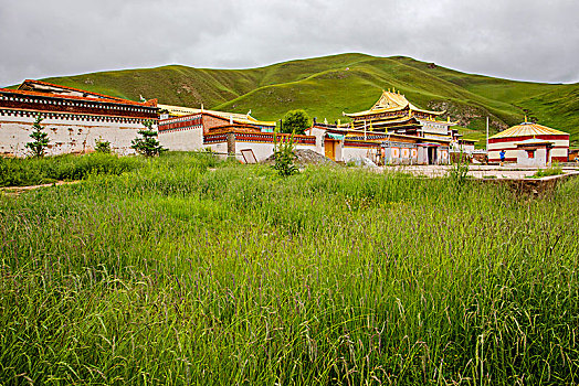 青海阿柔大寺