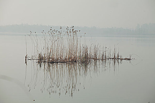 潘安湖湿地公园风光