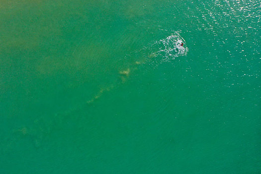 航拍海南三亚湾旅游度假区海水浴场椰林沙滩