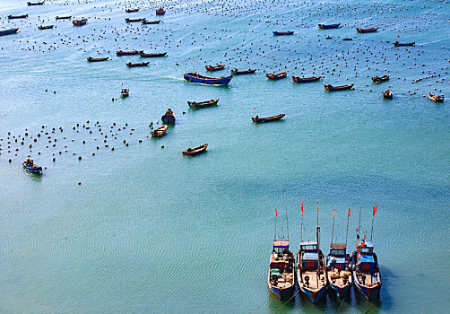 海湾,船,阳光,海岸,停泊,航行,港湾