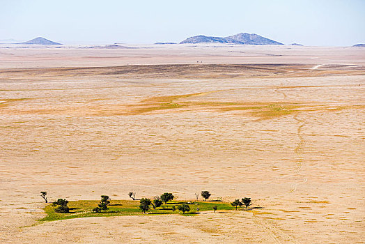 航拍,绿色,绿洲,纳米布沙漠,纳米比诺克陆夫国家公园,纳米比亚,非洲