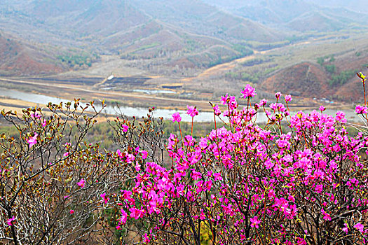 仙翁山风光