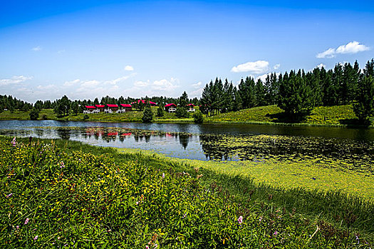 七星湖湿地,塞罕坝,桦木沟,国际森林公园,乌兰布统,草原,赤峰