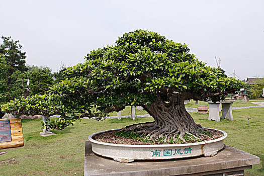 安徽黄山市鲍家花园